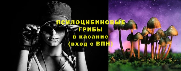 дурь Алзамай