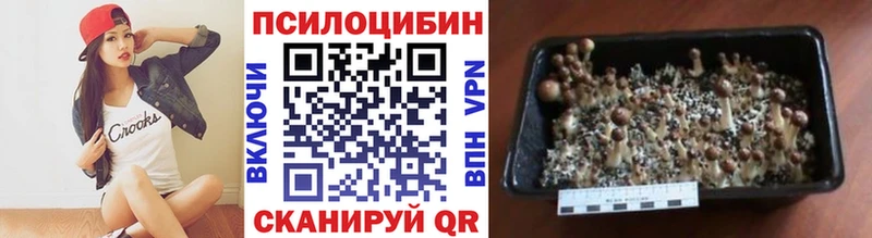 Псилоцибиновые грибы ЛСД  кракен вход  Кукмор 